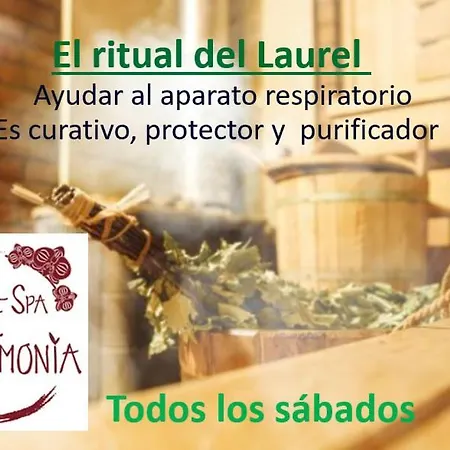 Artmonia