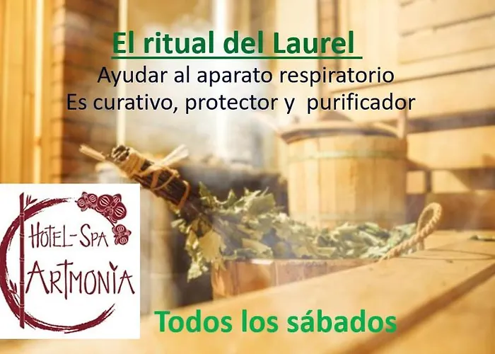 Artmonia