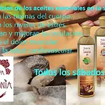 Artmonia Hotel 3*