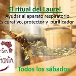 Artmonia