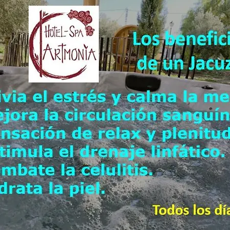 Artmonia 酒店 卡斯塔利亚