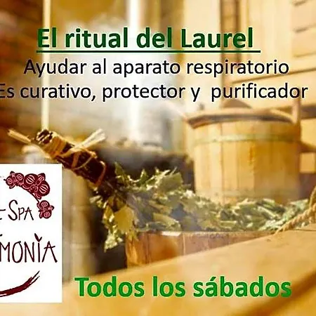 Artmonia Hotel