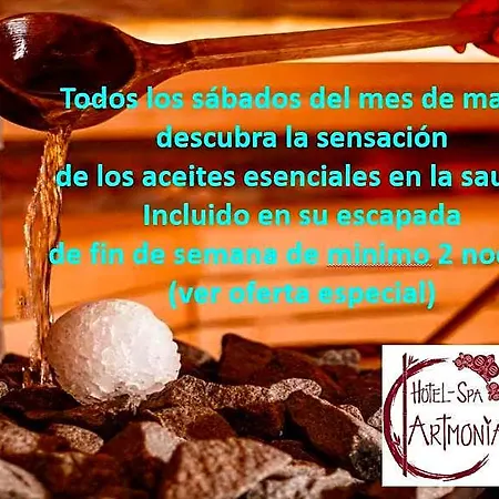 Artmonia Hotel Castalla