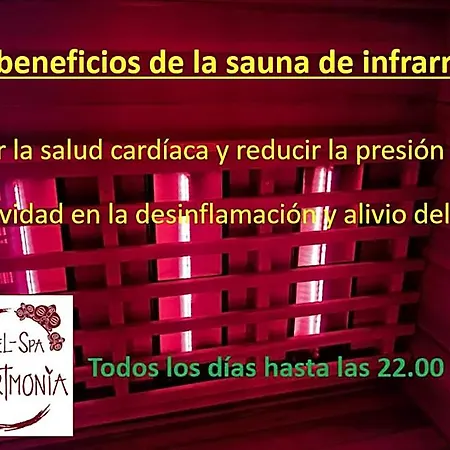 Hotel Artmonia 3*